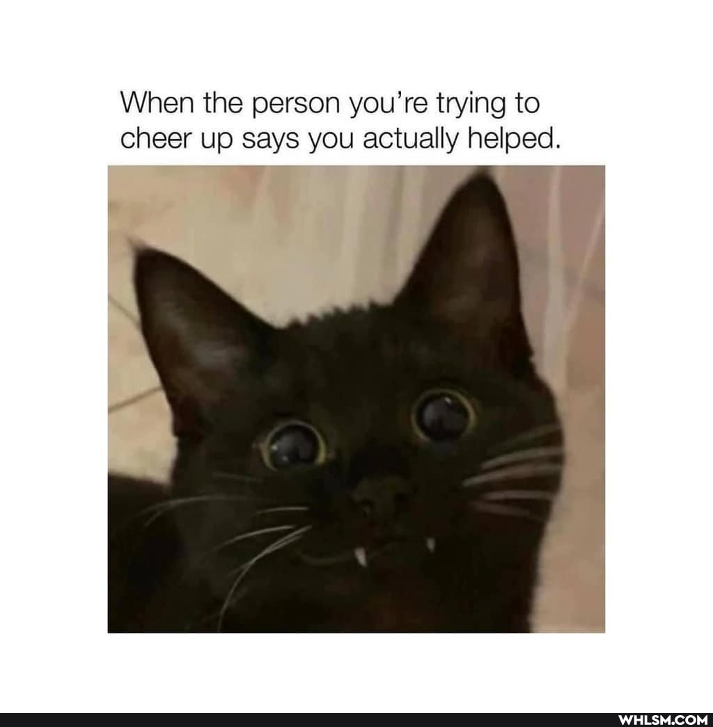 When the person you're trying to cheer up says you actually helped.