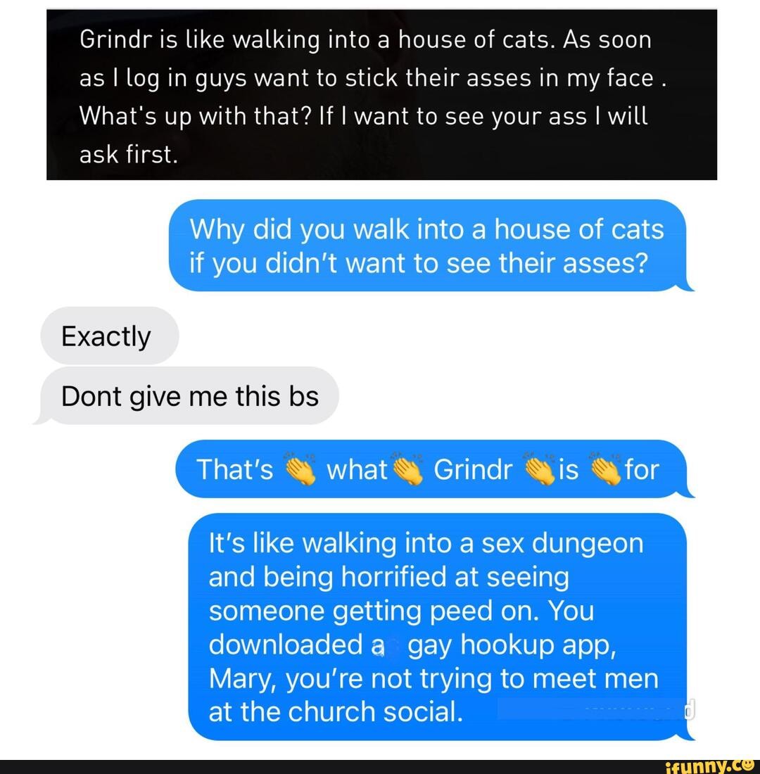 Grindr Gay Cat