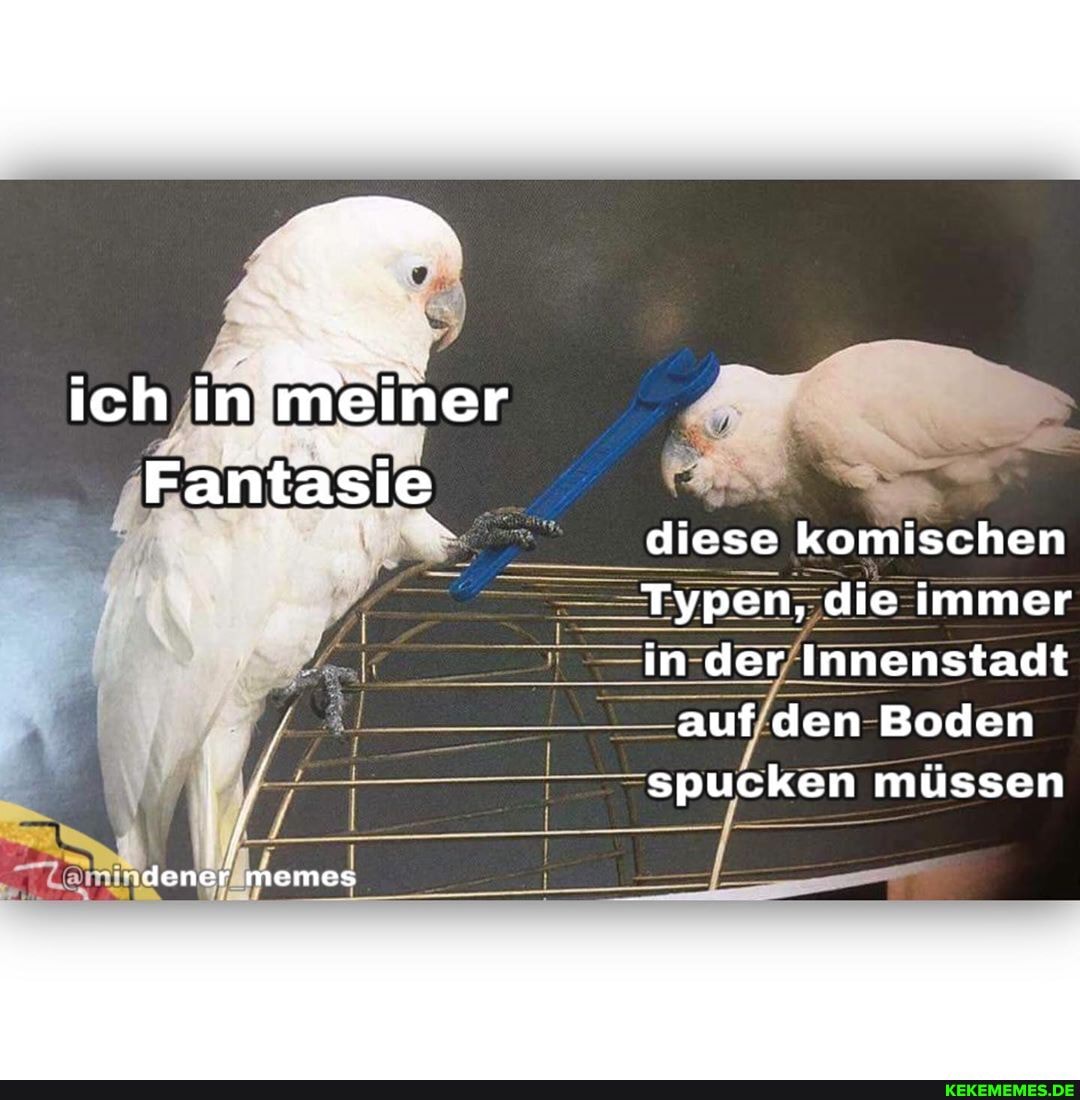 ich in meiner
Fantasie diese komischen
Typen, die immer in der Innenstadt
- auf den Boden spucken müssen
"dener memes