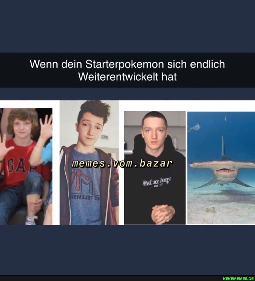 Wenn dein Starterpokemon sich endlich
Weiterentwickelt hat
memes bazar