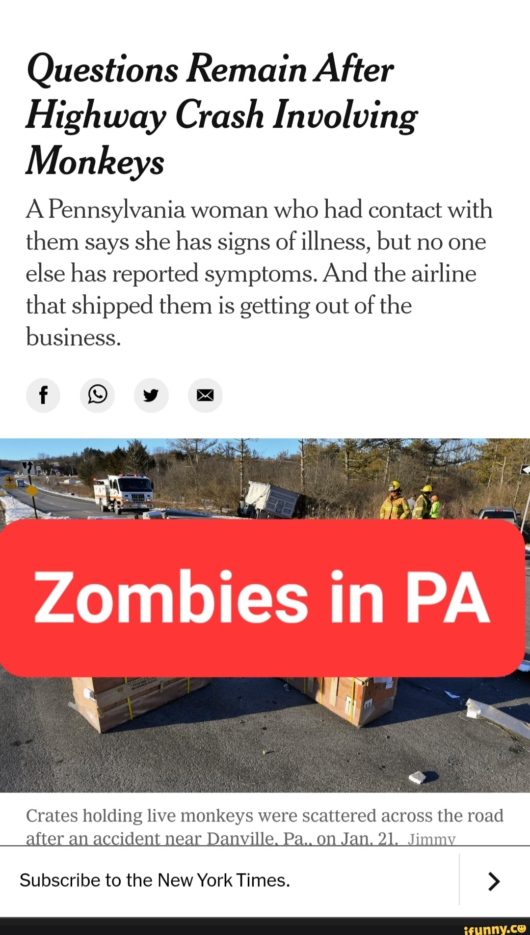 Questions Remain After Highway Crash Involving Monkeys A Pennsylvania