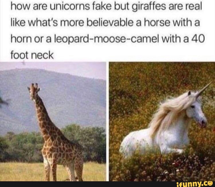 How are unicorns fake but giraffes are real like what's more believable