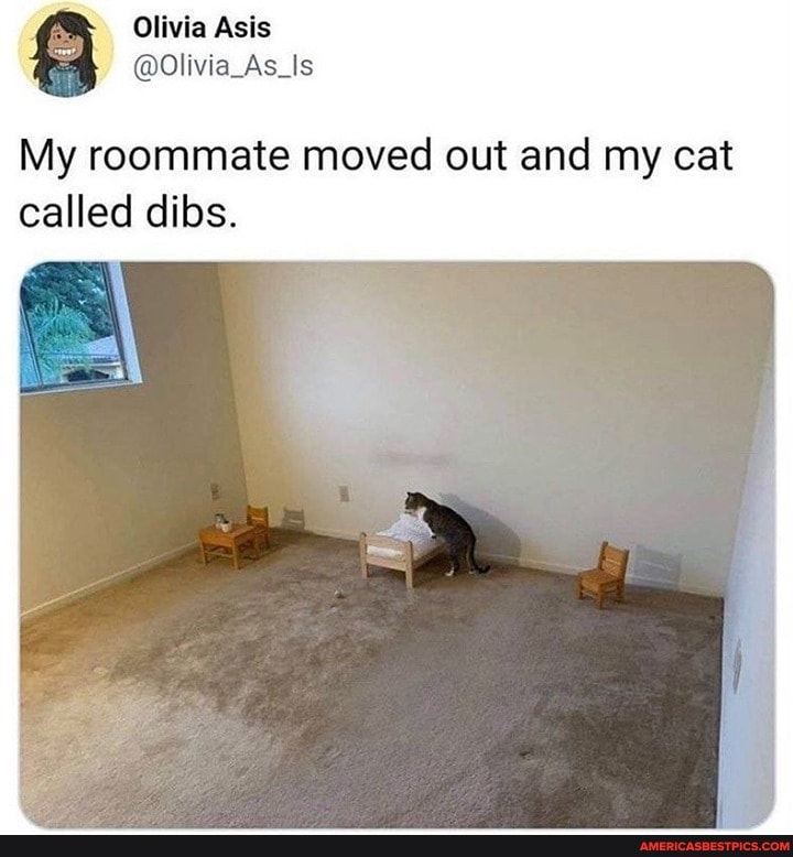 Asis
@Olivia
My roommate moved out and my cat called dibs.
