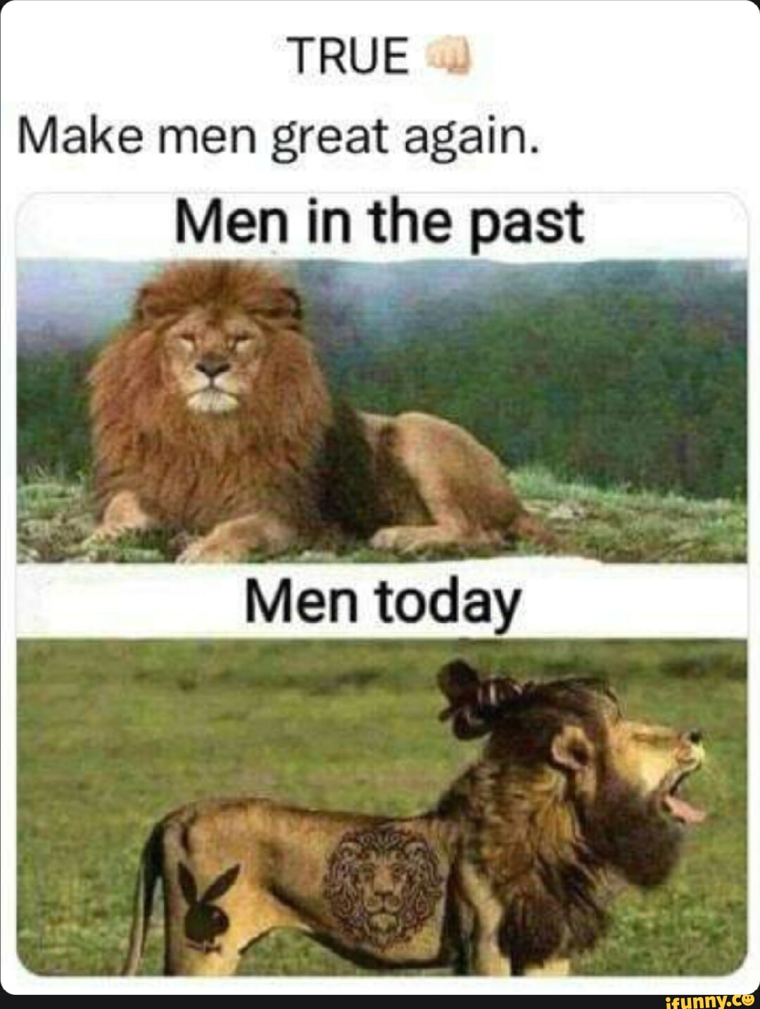 TRUE Make men great again. Men in the past - iFunny