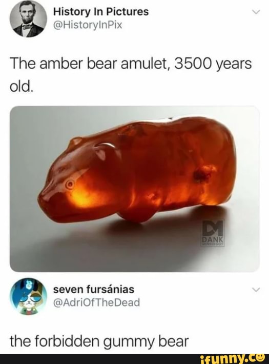 History In Pictures The amber bear amulet, 3500 years old. seven ...