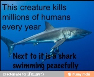 This creature kills
millions of humans
every year