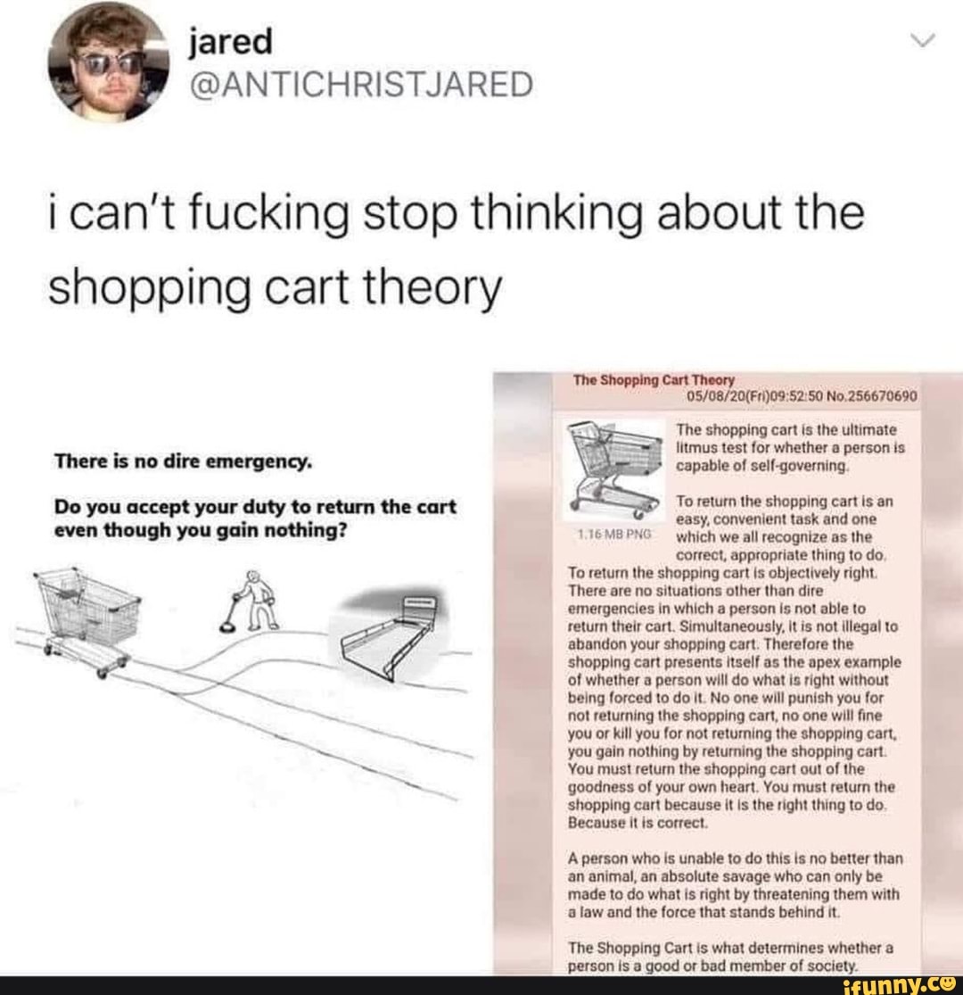 I Cant Fucking Stop Thinking About The Shopping Cart Theory The