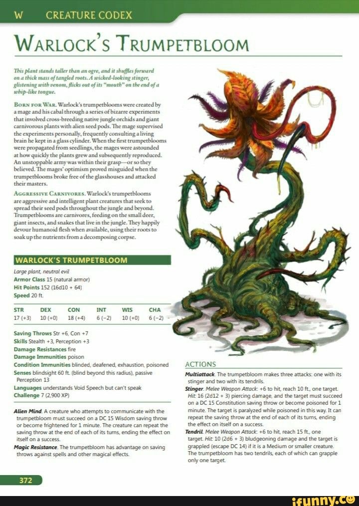 CREATURE CODEX WARLOCK'S TRUMPETBLOOM This plant stands taller than am