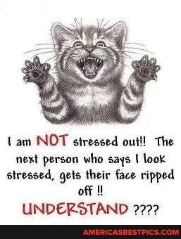 lam NOT stressed out!! The next person who says I look stressed, gets their face ripped off
UNDERSTAND 2722