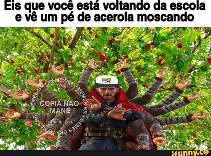 Eis que você está voltando da escola
e vê um pé de acerola moscando