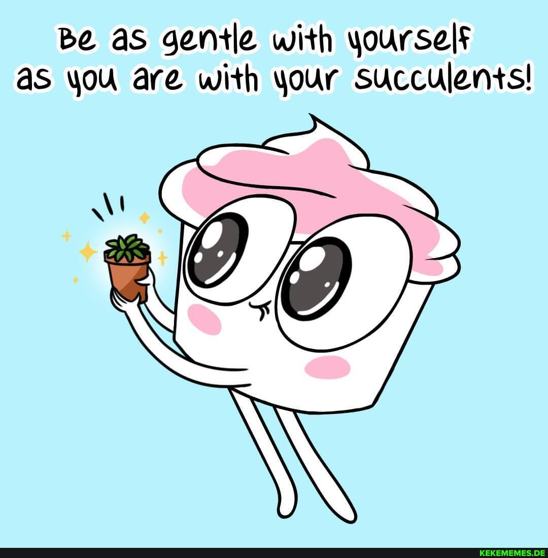 Be as gentle with yourself aS you are with your Succulents!