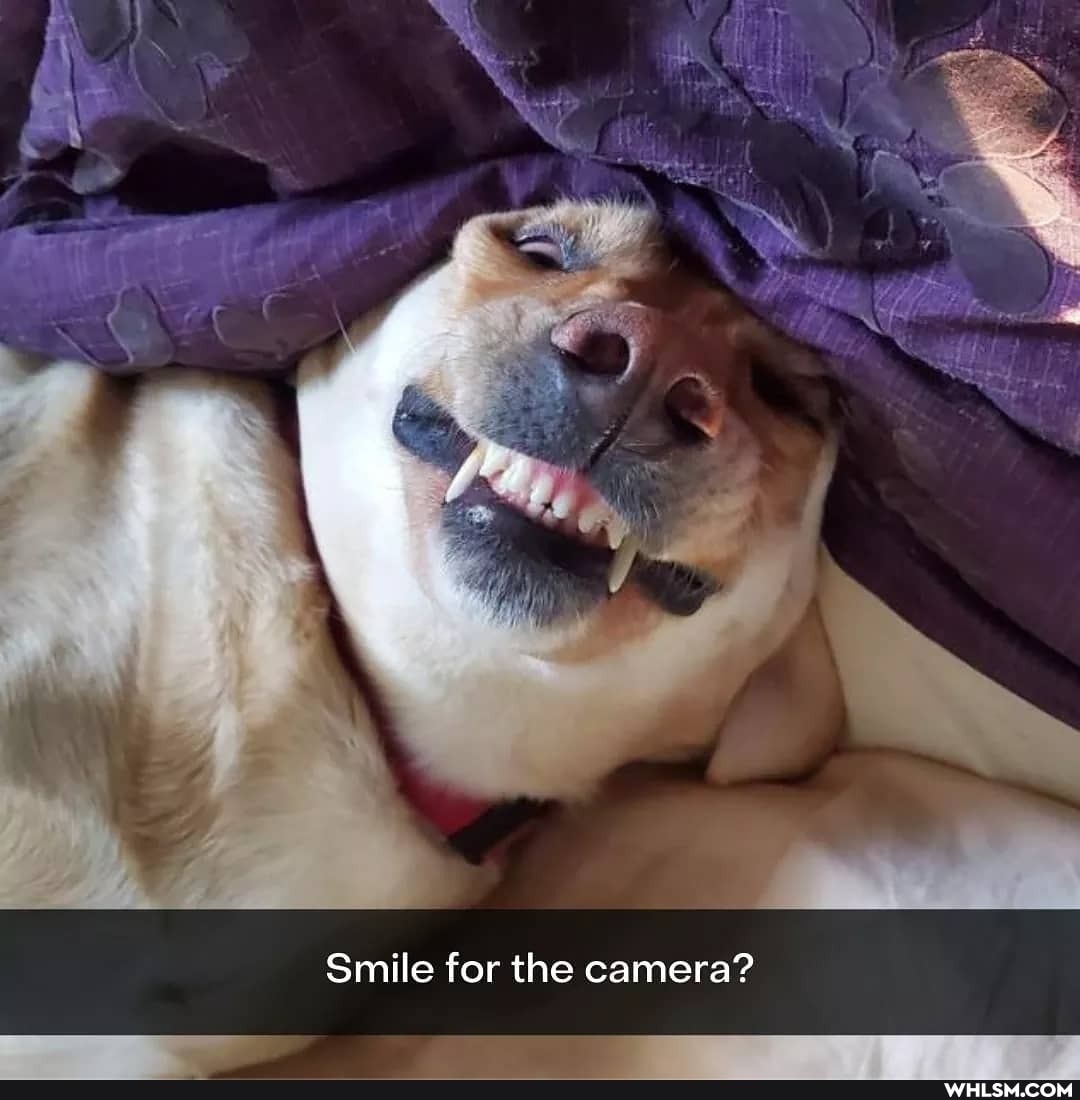 Smile for the camera?