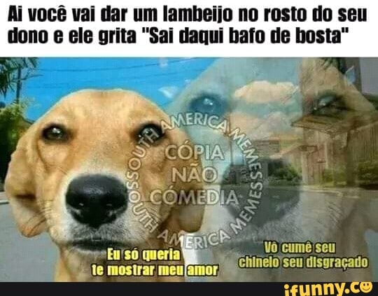 Ai você vai dar um Iambeijo no rosto do seu
dono e ele grita "Sai daqui bafo de bosta"