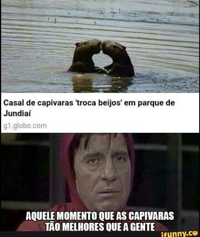 Casal de capivaras 'troca beijos' em parque de
Jundiaí
