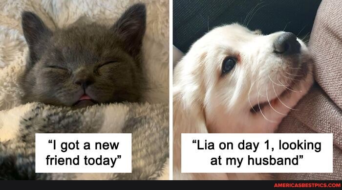 got a new "Lia on day 1, looking friend today" at my husband"