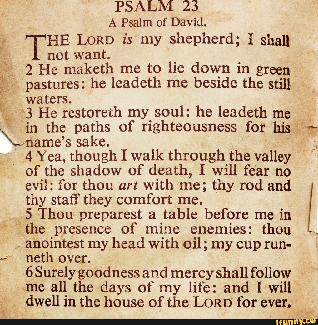 PSALM 25 A Psalm of David. HE LORD is my shepherd; I shalt not want. 2 ...