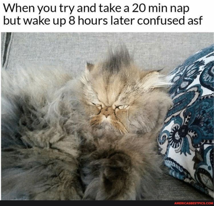 When you try and take a 20 min nap
but wake up hours later confused asf