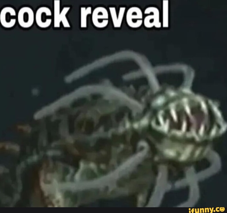Cock reveal - iFunny