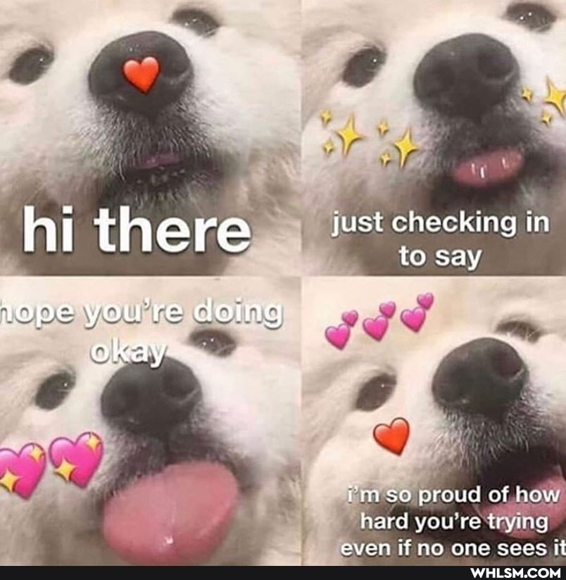 just checking in say hi there lope you're doing okay:
im so proud of how hard you're trying
avant ane came jt