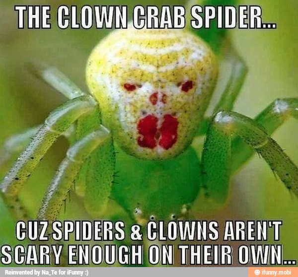 CLOWN,GRABISPIDER!.
CUZSPIDERS CLOWNS ARENT,
SCARY ENOUGH ON THEIR OWN.