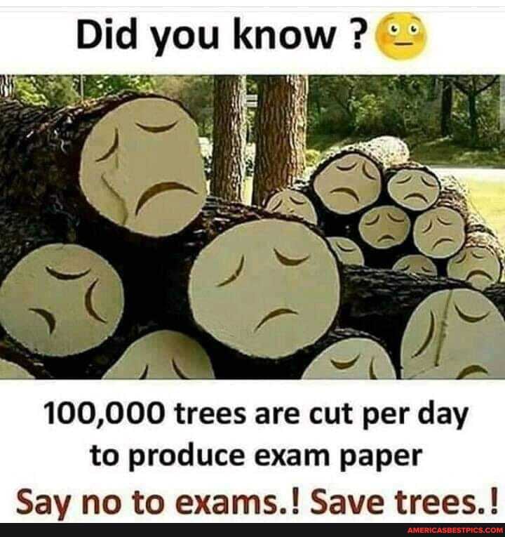 Did you know
100, 000 trees are cut per day to produce exam paper
Cay nn tn ayame I Gave traac