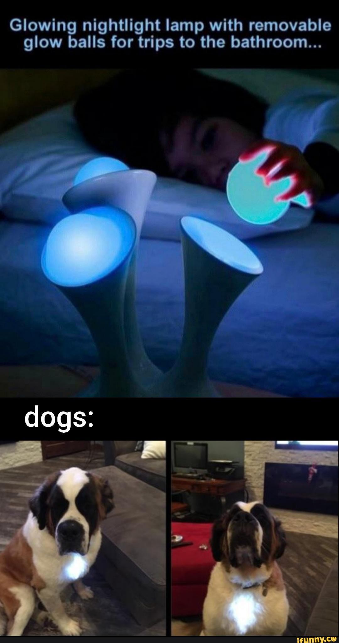 Glowing nightlight lamp with removable glow balls for trips to the bathroom...
dogs:
