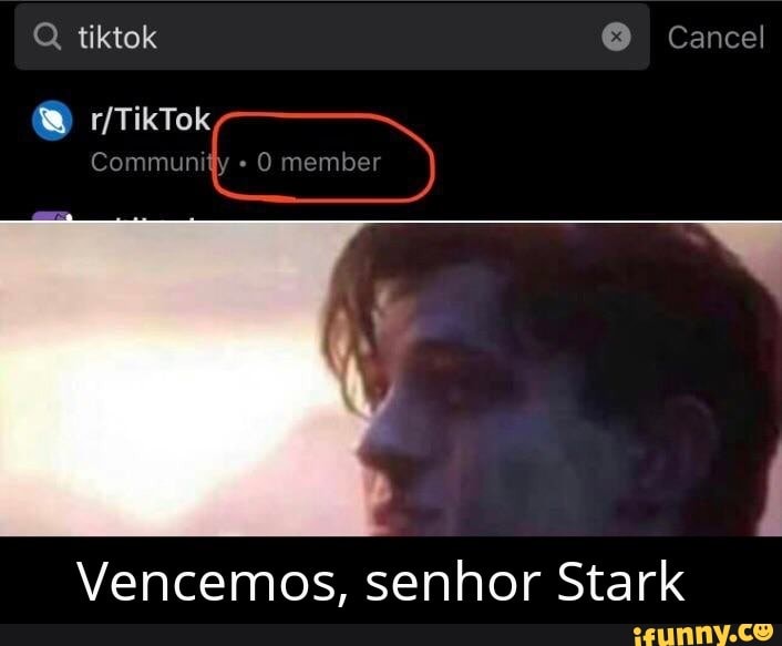 Vencemos, senhor Stark