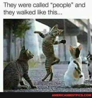 They were called "people" and they walked like this...