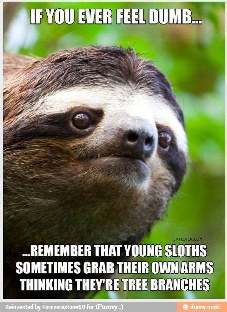 REMEMBER THAT YOUNG SLOTHS
SOMETIMES GRAB THEIR OWNARMS
THINKING THEY'RE TREE BRANCHE