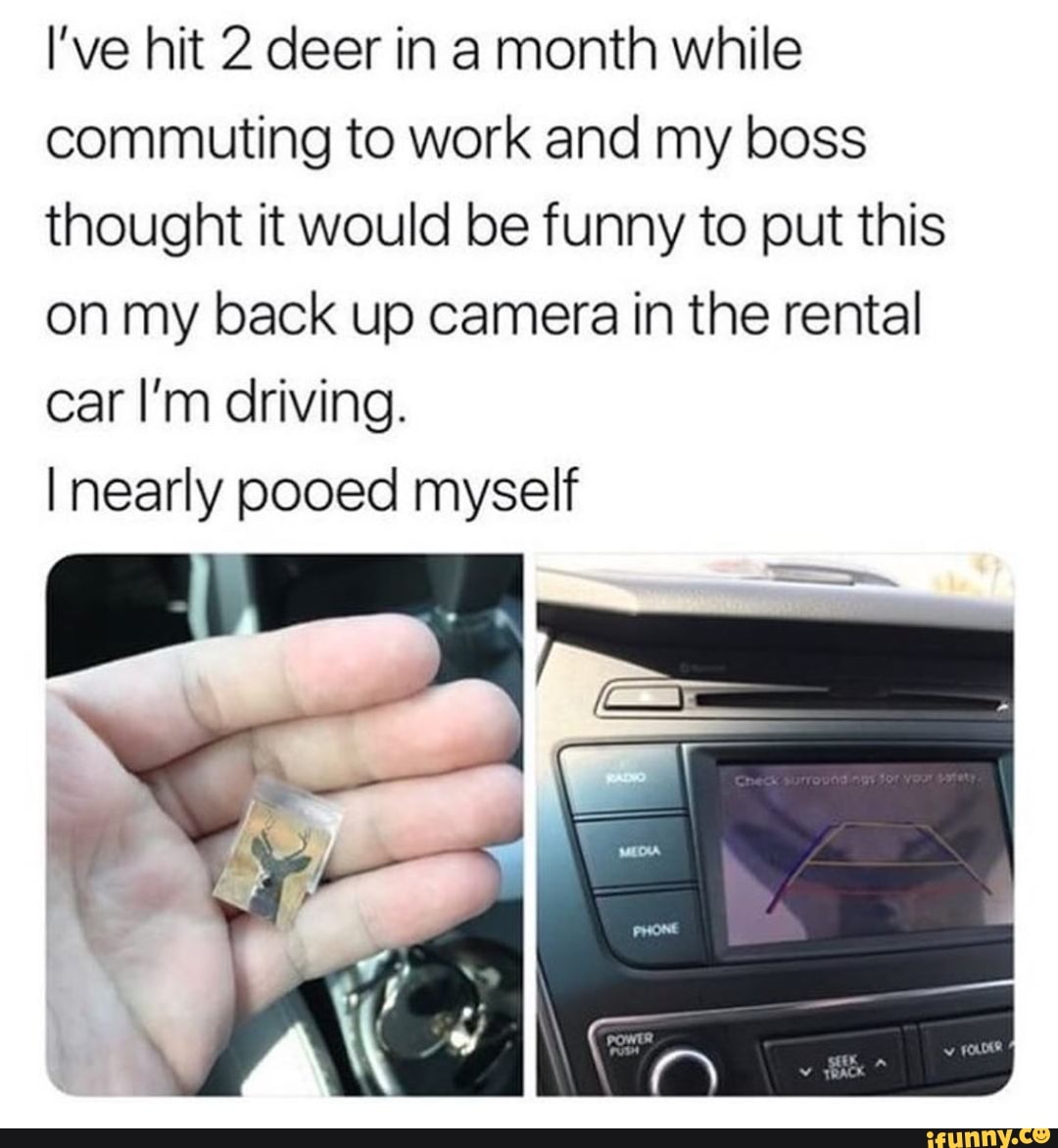 I've hit 2 deer in a month while
commuting to work and my boss
thought it would be funny to put this
on my back up camera in the rental
car I'm driving.
I nearly pooed myself