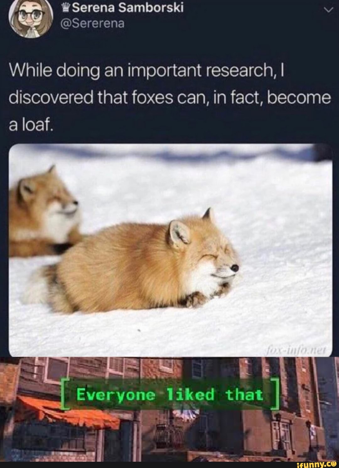 While doing an important research, I
discovered that foxes can, in fact, become
a loaf.