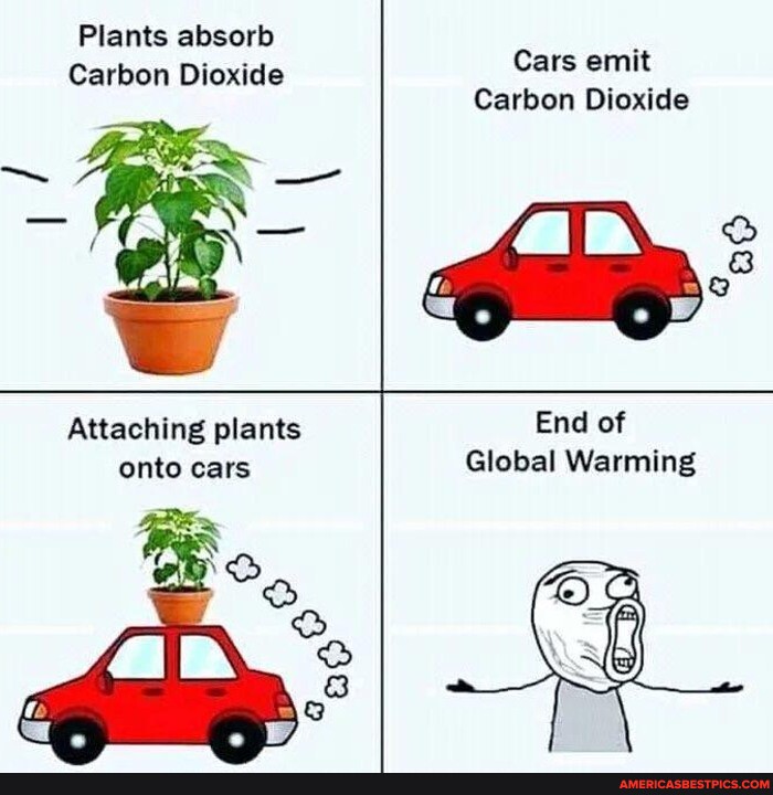 Plants absorb Carbon Dioxide Attaching plants onto cars Cars emit