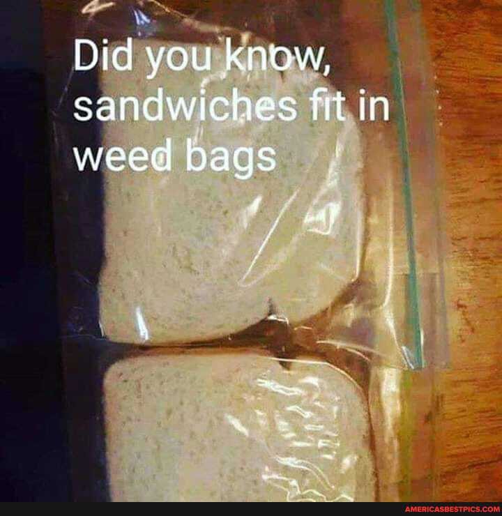 Did you know, sandwiches fit in weed bags