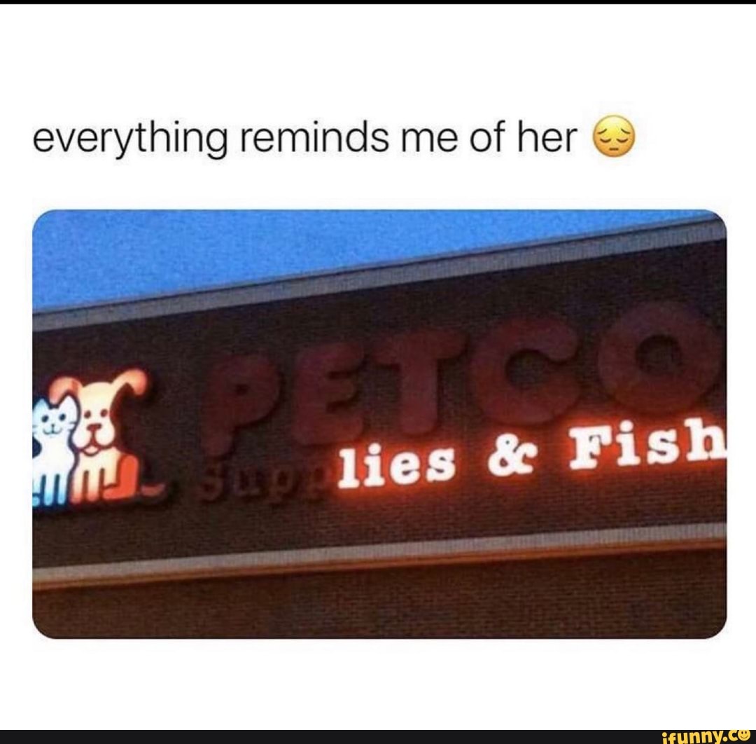 everything reminds me of her
lies & Fish