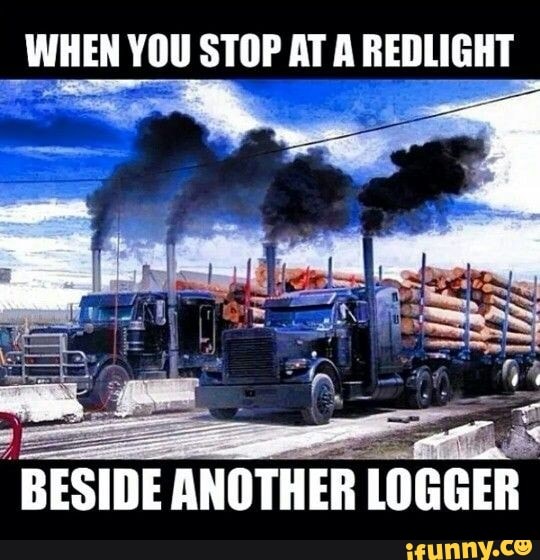 Logger memes. Best Collection of funny Logger pictures on iFunny