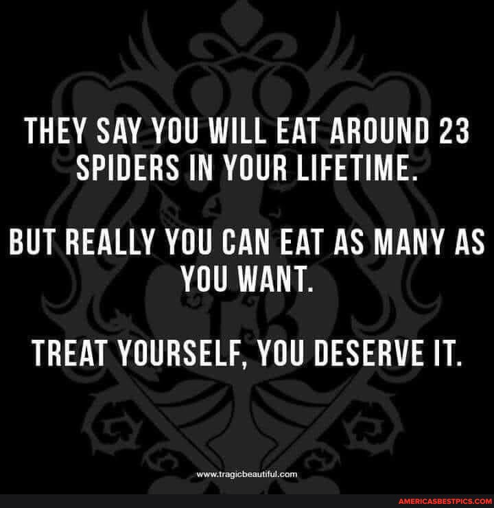 THEY SAY YOU WILL EAT AROUND 23 SPIDERS IN YOUR LIFETIME. BUT REALLY ...