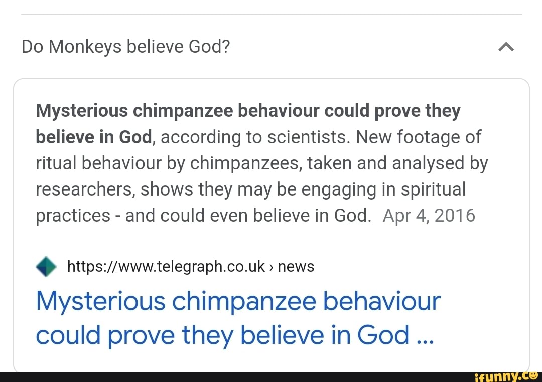 Do Monkeys believe God? Mysterious chimpanzee behaviour could prove ...