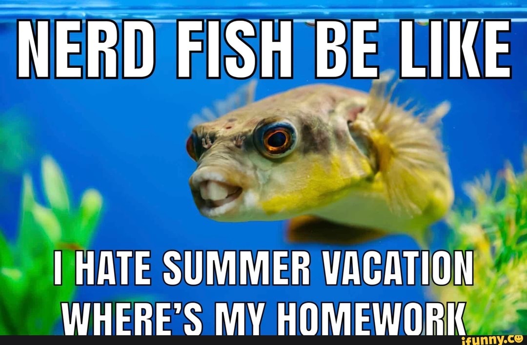 NERD FISH BE LIKE I HATE SUMMER VACATION WHERE'S MV HOMEWORK iFunny