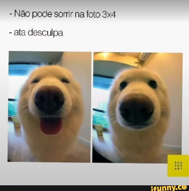 - Não pode sorrir na foto
- ata desculpa
Pa Pá
