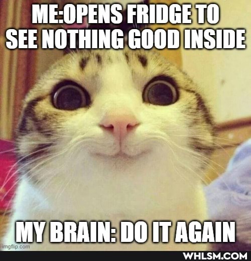PENS FRIDGE TO SEE NOTHING GOOD INSIDE
MY BRAIN: RO ITACKIN