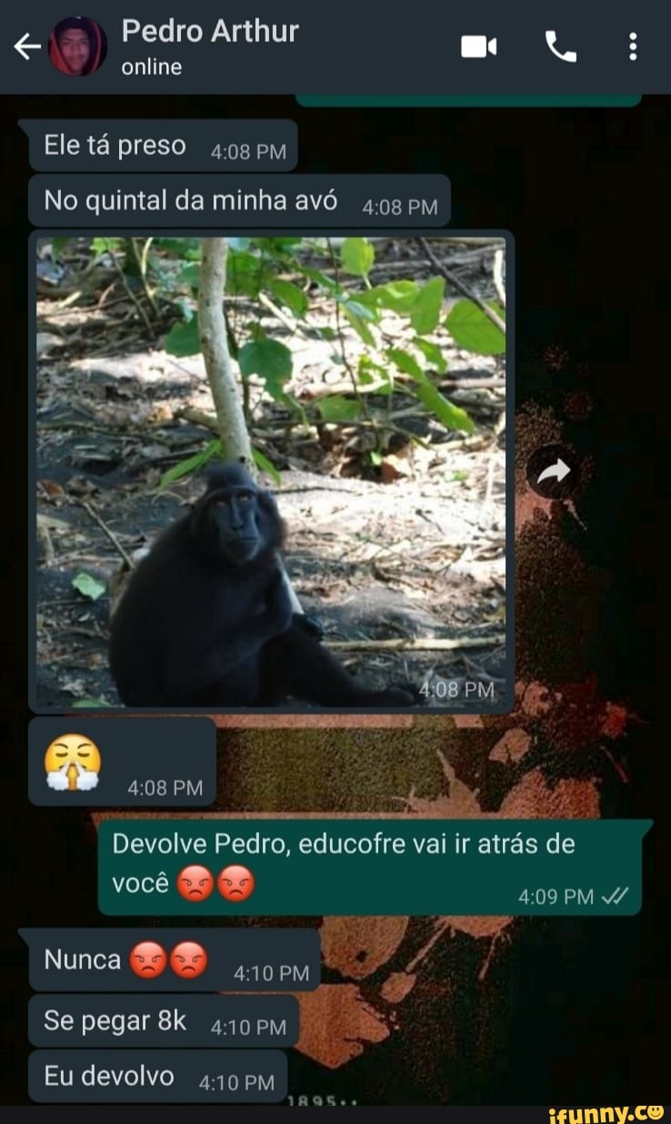 Pedro Arthur
online
Ele tá preso
No quintal da minha avó
PM
Devolve Pedro, educofre vai ir atrás de você
Nunca
Se pegar Bk pM
Eu devolvo