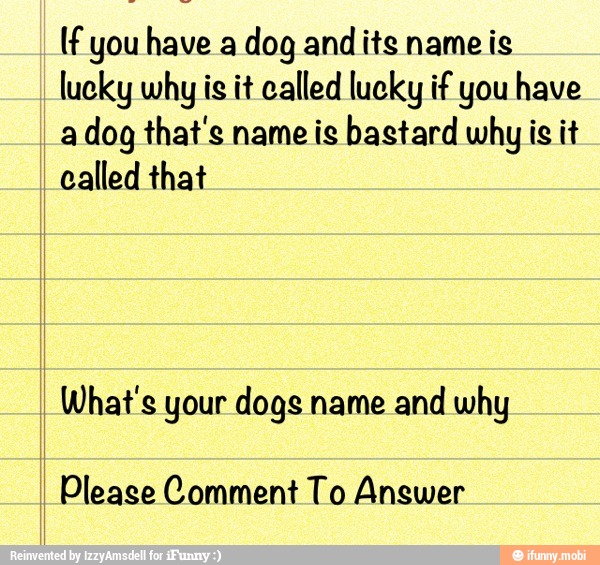 If you have a
dog andits name is
lucky why is it called lucky if you have
a
dog that's name is bastard why is it
called that
What's your dogs name and why
Please Comment To Answer