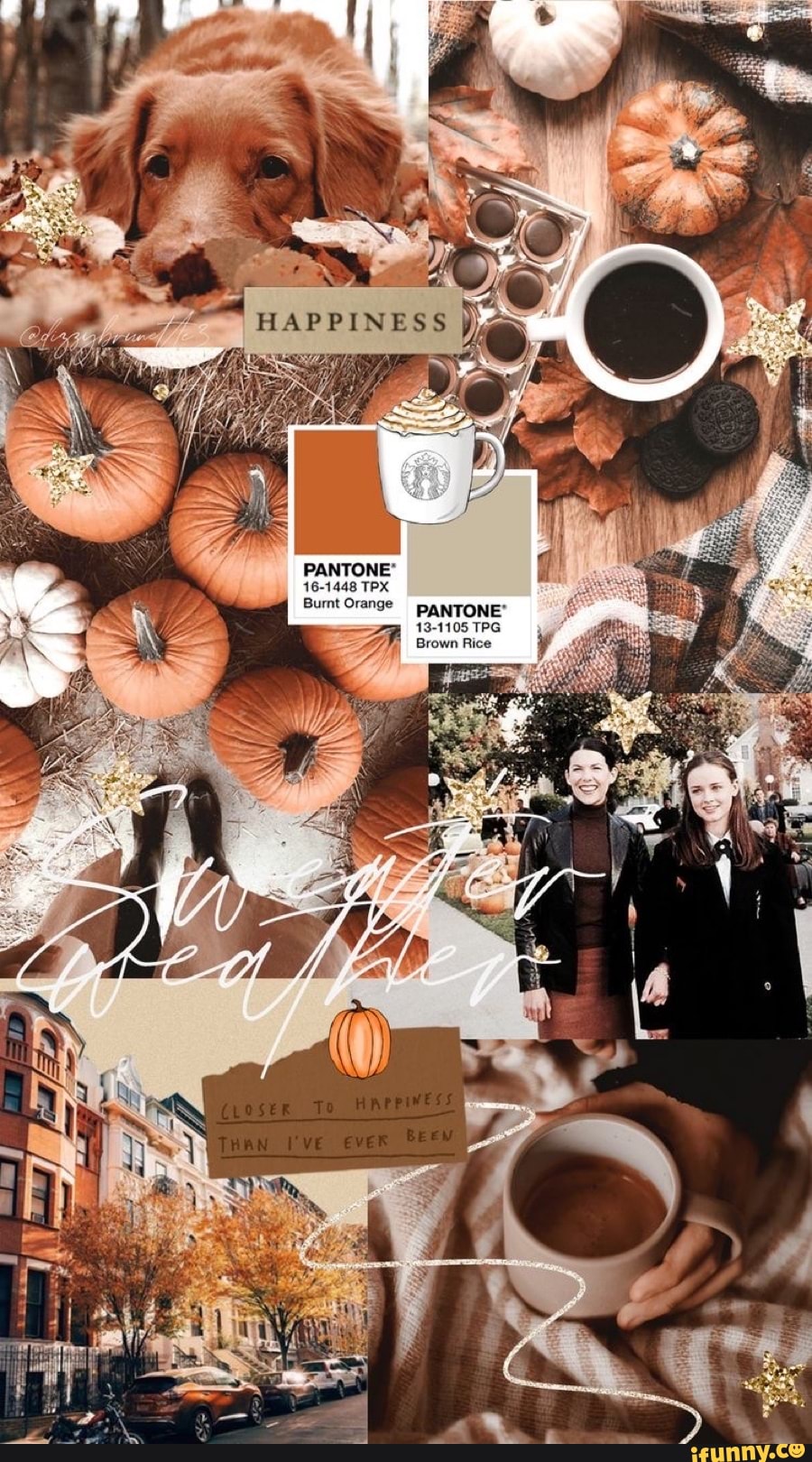 Se 16 1448 Tpx Bumt Orange 13 1105 Tpg Brown Rice