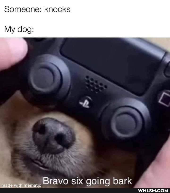 Someone: knocks
My dog:
Rravo six qning hark
