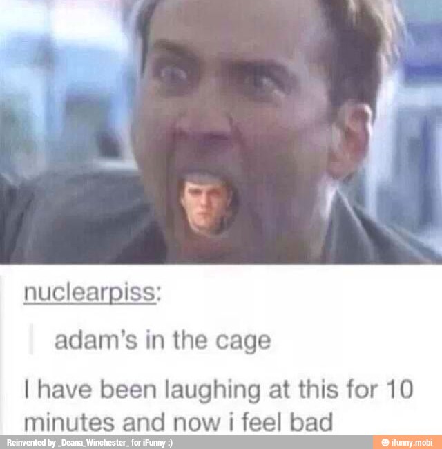 nuclearpiss:
I have been laughing at this for 10
minutes and now i feel bad