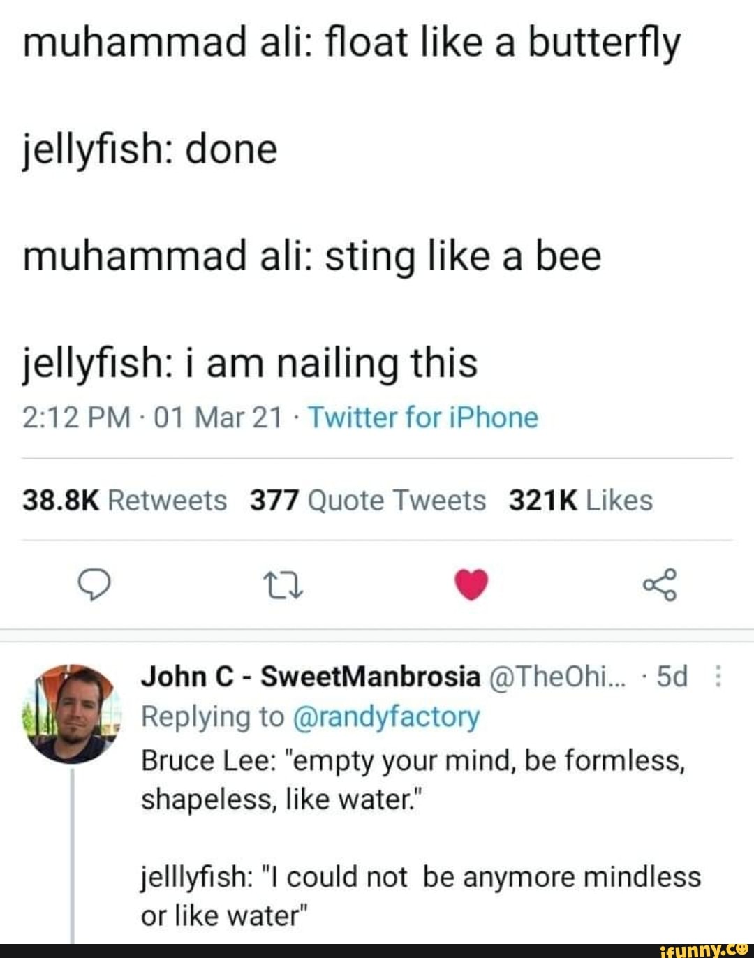 Muhammad Ali Float Like A Butterfly Jellyfish Done Muhammad Ali Sting Like A Bee Jellyfish Am