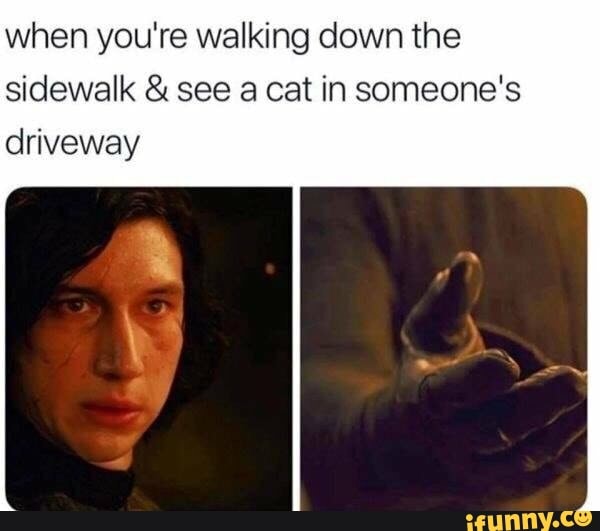 when you're walking down the sidewalk & see a cat in someone's
driveway