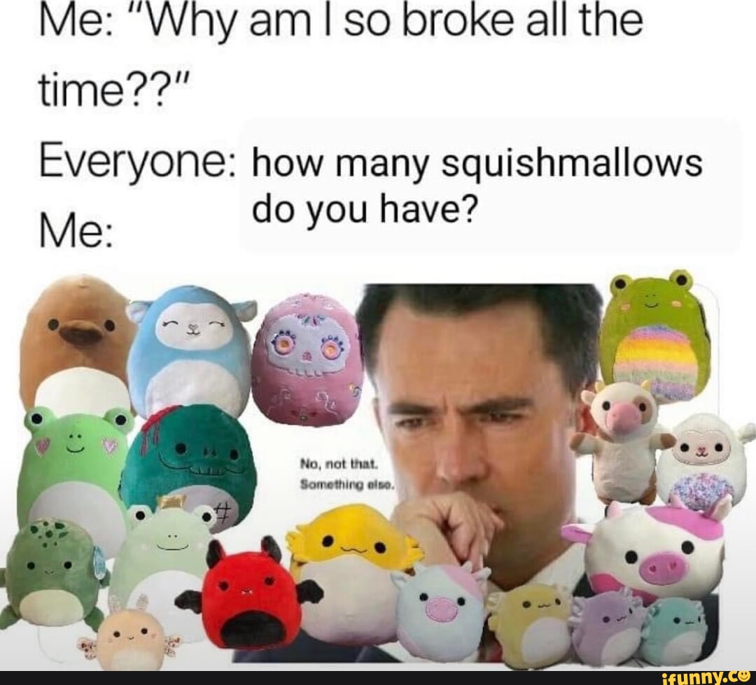 squishmallows-memes-best-collection-of-funny-squishmallows-pictures-on