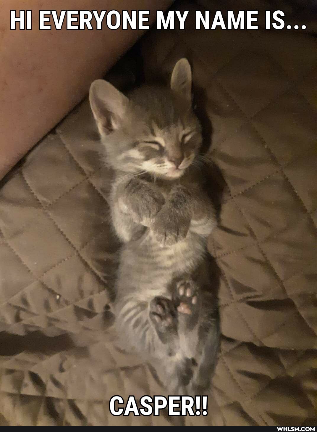 HI EVERYONE MY NAME IS...
CASPER!!