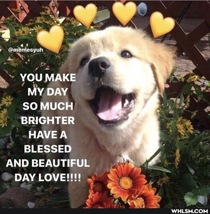 sp
YOU MAKE MY DAY
SO MUCH
BRIGHTER HAVE BLESSED
AND BEAUTIFUL DAY LOVE!!!
